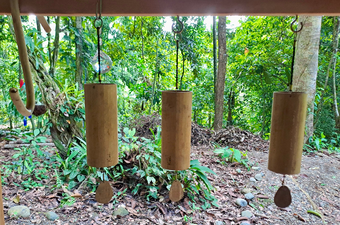 Baño de Sonido Privado en la Jungla - Experiencia Sonora de sanacion